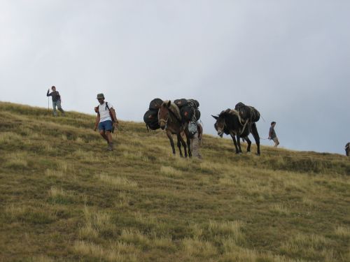 trekking con i muli-41.JPG